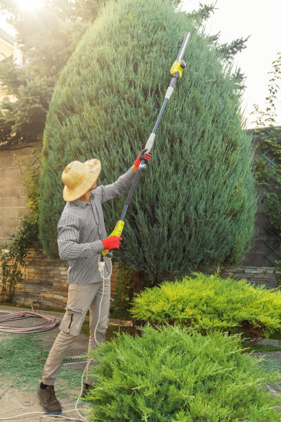 Best Stump Grinding Near Me  in Bloomingdale, NJ